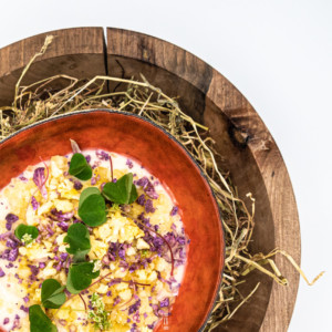 Faire saliver les Papilles