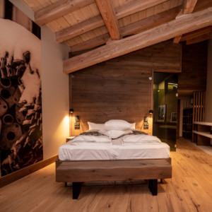 Chalet Hotel*** Le Collet, Xonrupt-Longemer 88