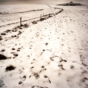 Le bonheur accessible