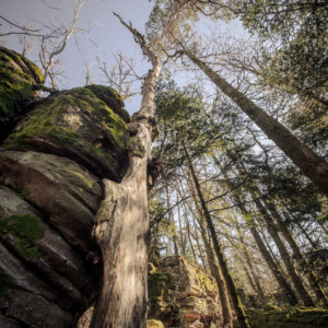 Harmonisation en cours