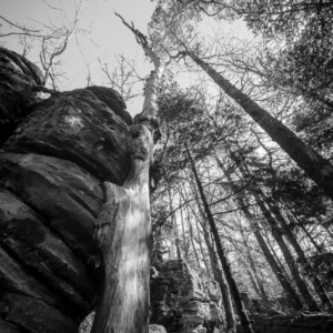 Harmonisation en cours b&w