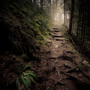 Nos Chemins de Traverse