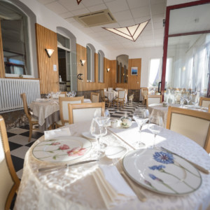 Logis Hôtel des Lacs *** Celles sur Plaine